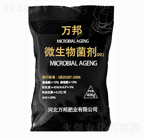 �f(w��n)��΢����������Ƀ|����-�f(w��n)��