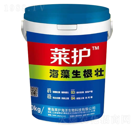 ����������-�R�o-����