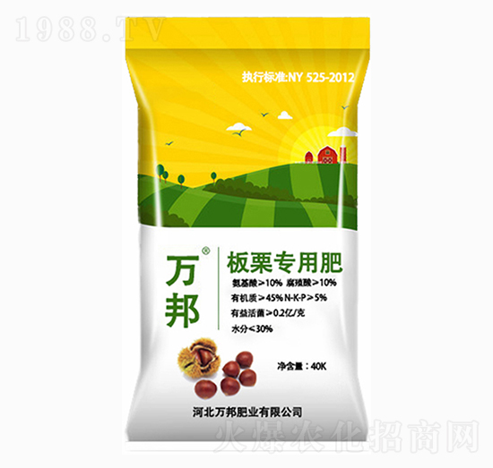 �������÷�-�f(w��n)��