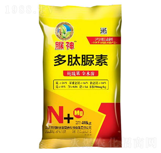 ��������-����-����