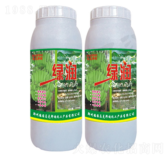 �㽶�����~���-�G��(r��n)-�R�˰��