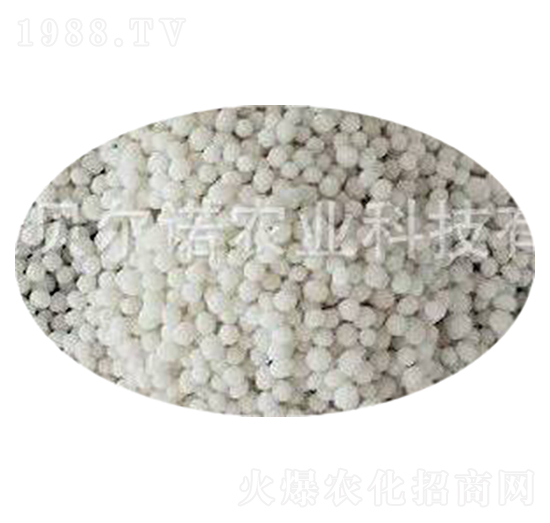 �ͺϷʟo�������� ؐ���Z�r�I(y��)