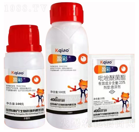 25%�����Ѿ��� ӯ�� ��������