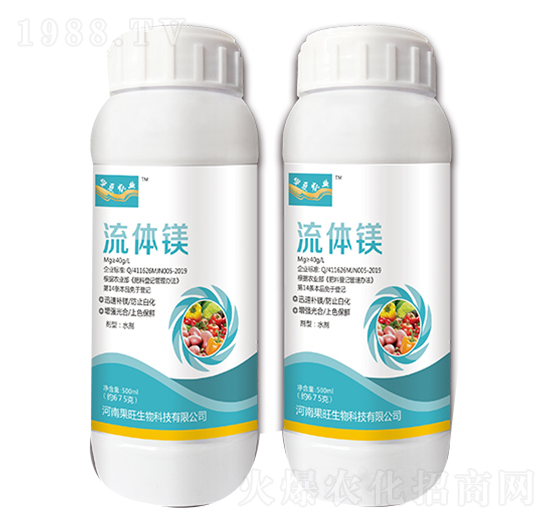 ���w�V-��������