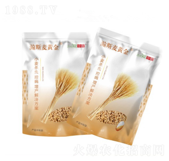 �˹���S�� ��ӯ