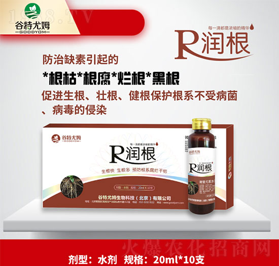 ����-�����졢���������A����ϵ�����ɿ�-������ķ