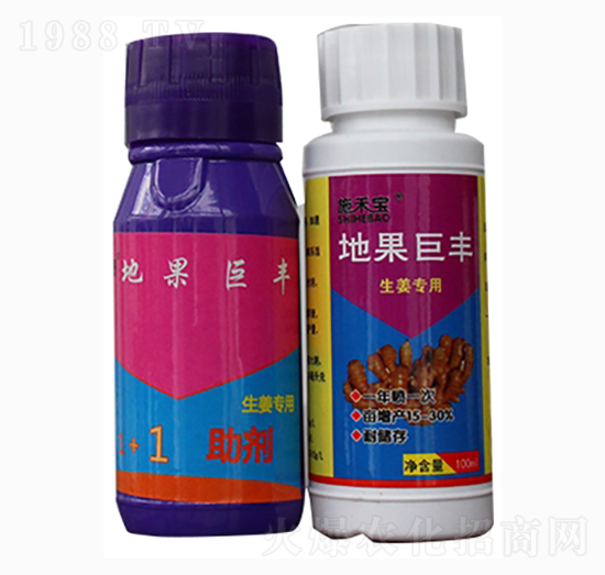 �ع����S���M�ϣ�-ʩ�̌�