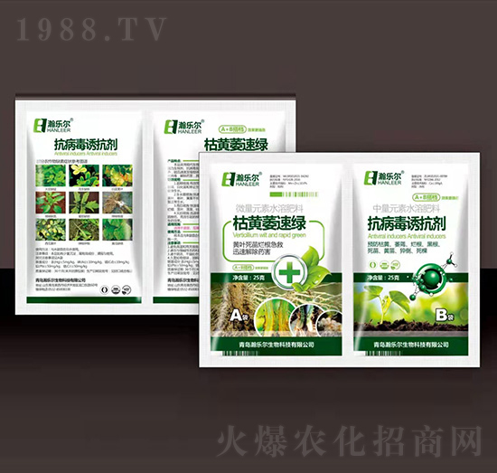 ���Sή�پG+�������T����-嫘���