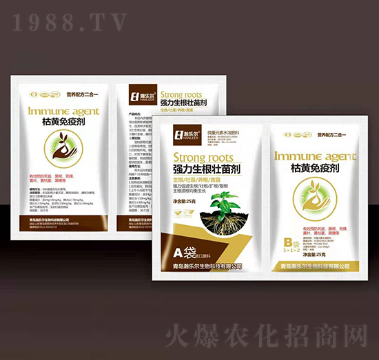 �����������焩+���S���߄�-嫘���