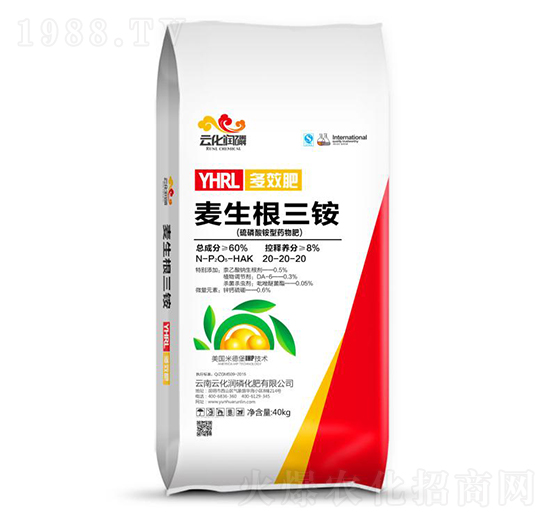 �������@��20-20-20 ���������@ �ƻ���(r��n)��