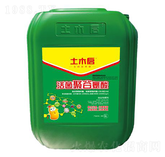 ����۹Ȱ��� ��ľ������