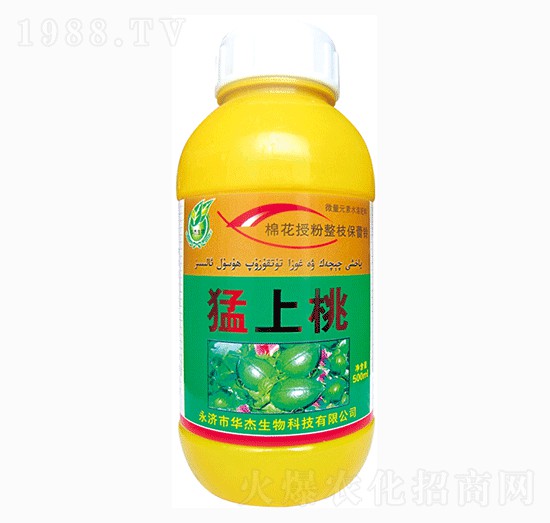 ������-�A������