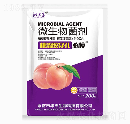 �����z���ױ�ͣ-�A������