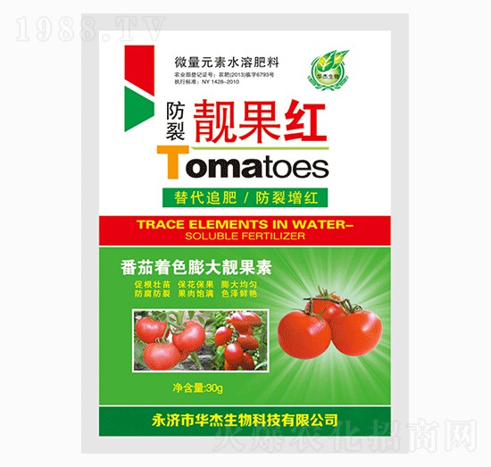 �����n���t-�A������