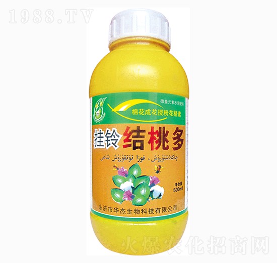 ��⏽Y(ji��)�Ҷ�-�A������