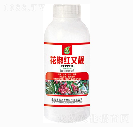 500ml�����t���n-�A������