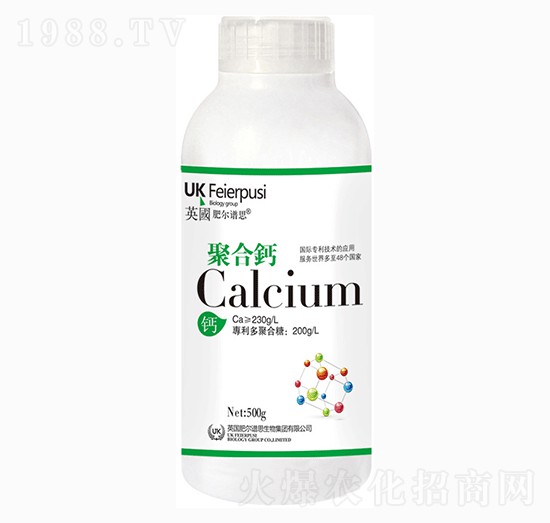 �ۺ��}-�A������