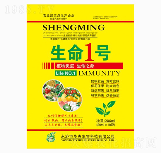 ����1̖-�A������