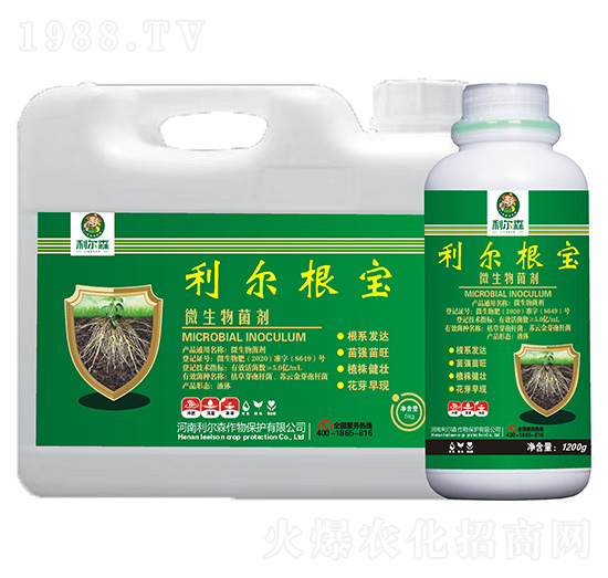 ΢�������-��������-����ɭ