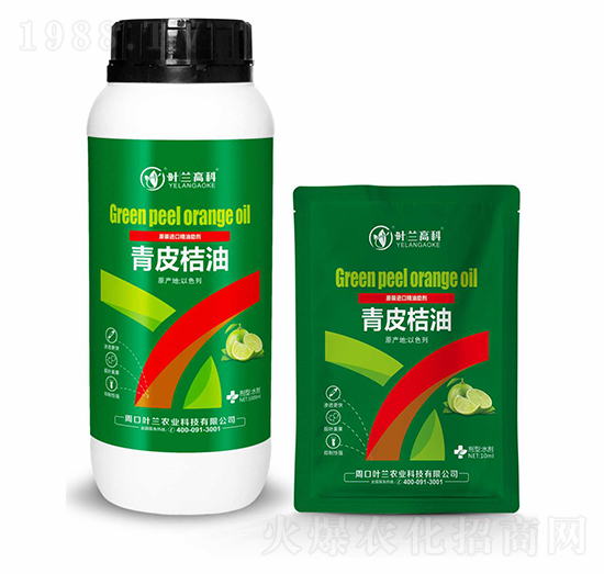 ��Ƥ����-�~�m�߿�