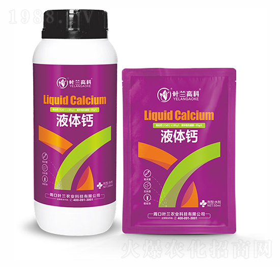 Һ�w�}-�~�m�߿�