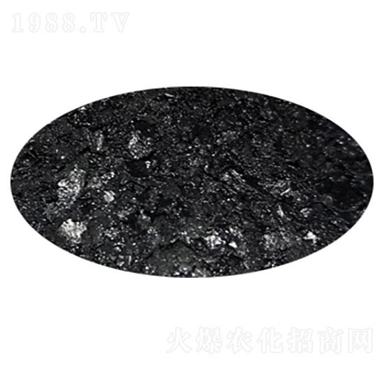 ������-�����п�