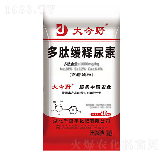 ���ľ������-���Ұ-ǧ�t�S