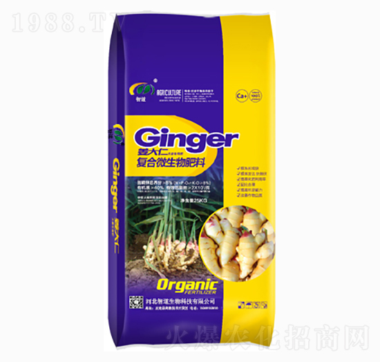 ��(f��)��΢�������-������-�ǵ�