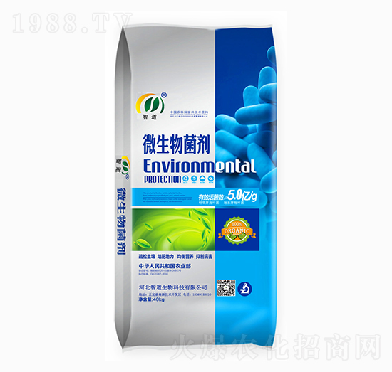 ΢�������-�ǵ�