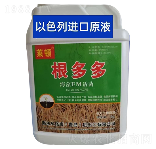 ����EM���-�����-�R�D