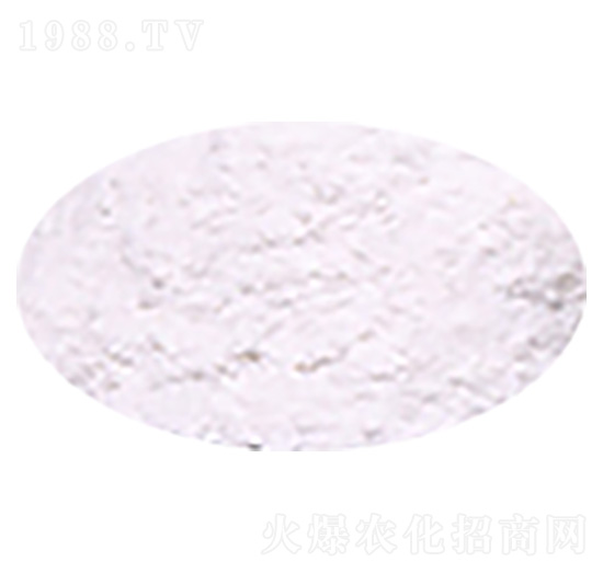 �T����-���A