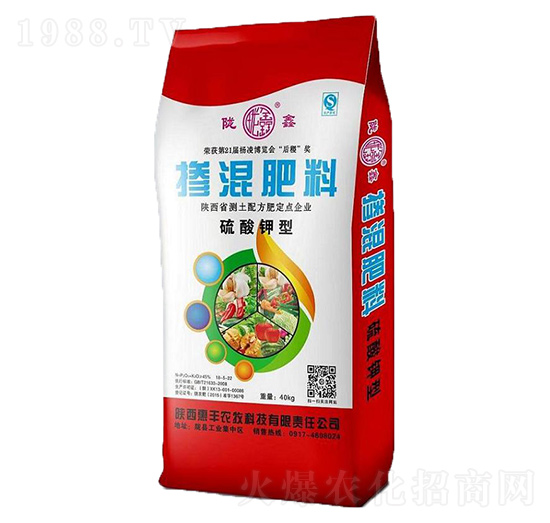 ������͓������-�]��-���S�r(n��ng)��