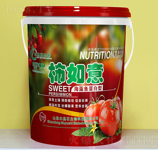 �����~(y��)������-������-ľ�~(y��)ʯ����