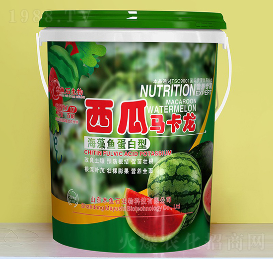 �����~(y��)������-�����R����-ľ�~(y��)ʯ����