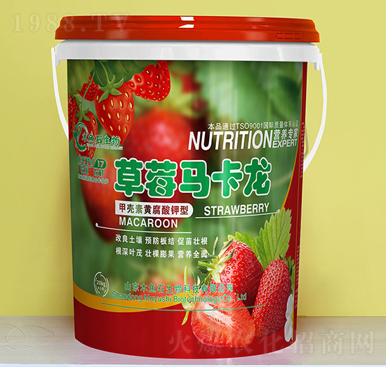 �ך����S�������-��ݮ�R����-ľ�~ʯ����