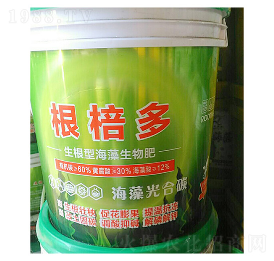 �����ͺ��������-������-�ʺ̶��S