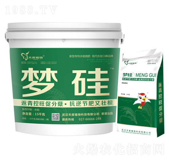 ��(m��ng)��-���ֲ��