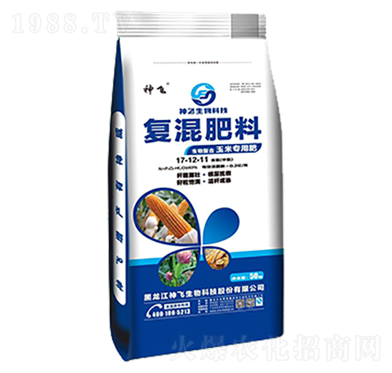 ���׌��Ï�(f��)�����17-12-11-���w����