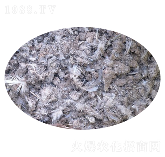 ���ӼS-�f�Z���r�I(y��)