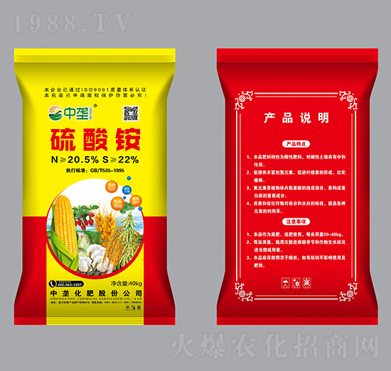 �����@-�Љ�