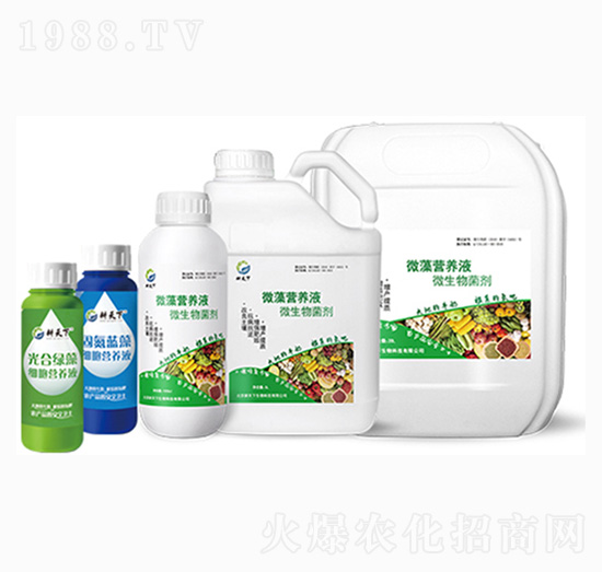 ΢�弚(x��)���I(y��ng)�B(y��ng)Һ-������