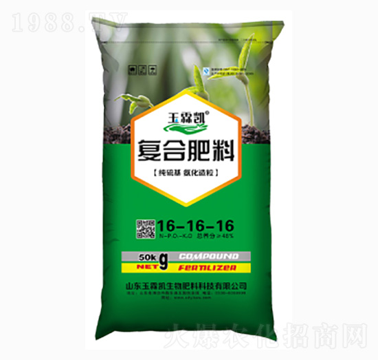 �ͺϷ���16-16-16-���؄P����