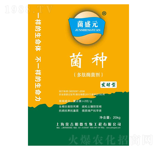 ����ø����-��ʢԪ���N-�s����