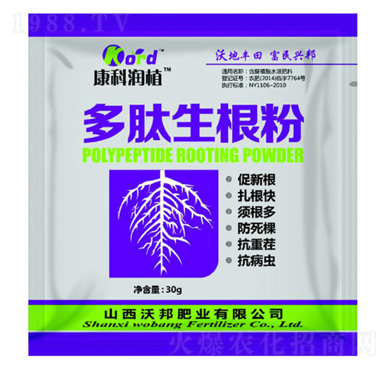 ���������� �ְ�ʘI(y��)