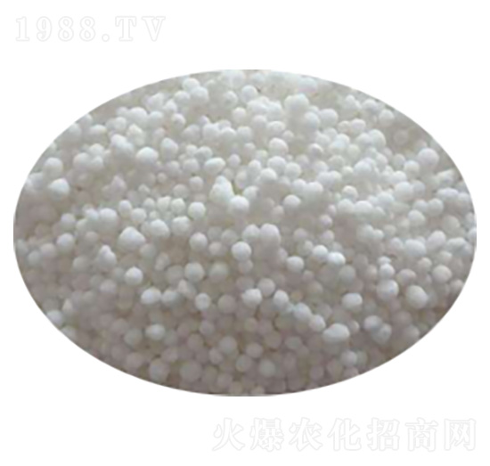 ������}�V �����r(n��ng)�I(y��)