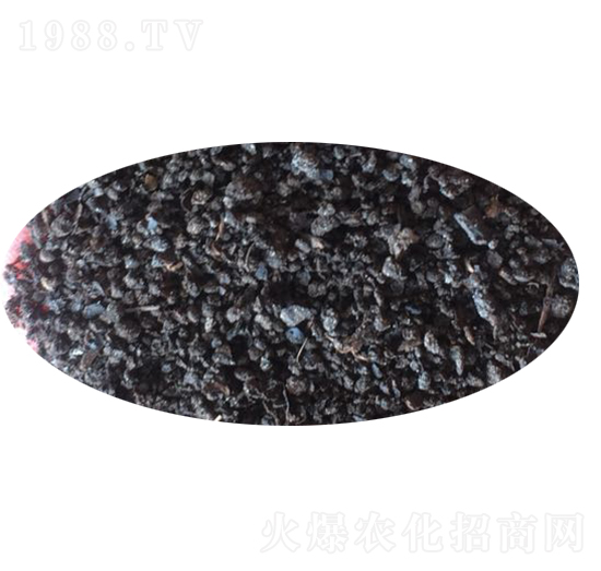 �w���ЙC��-Ԫ������