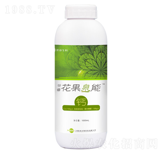 �����Ȫ���}-�������