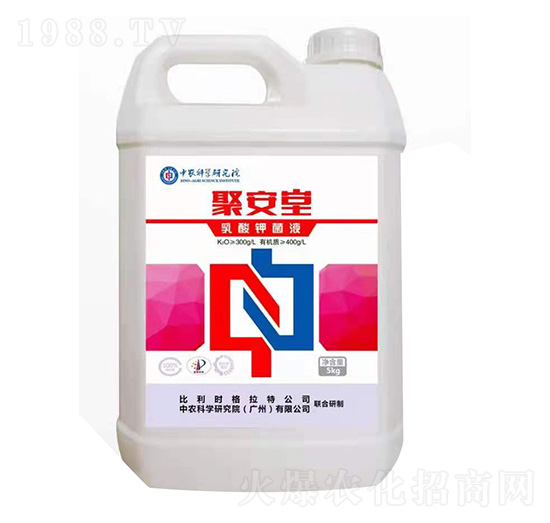 ����⛾�Һ �۰��� ��׿�r(n��ng)�I(y��)