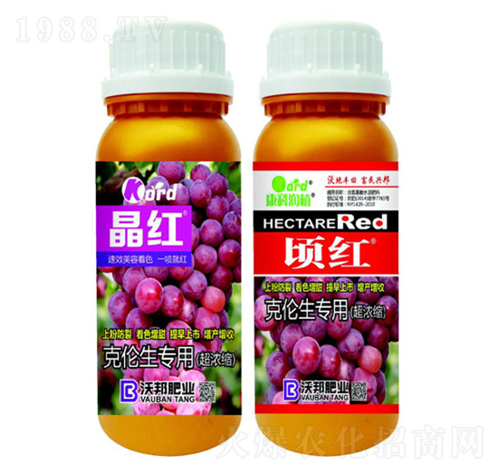 �˂������� �ְ�ʘI(y��)