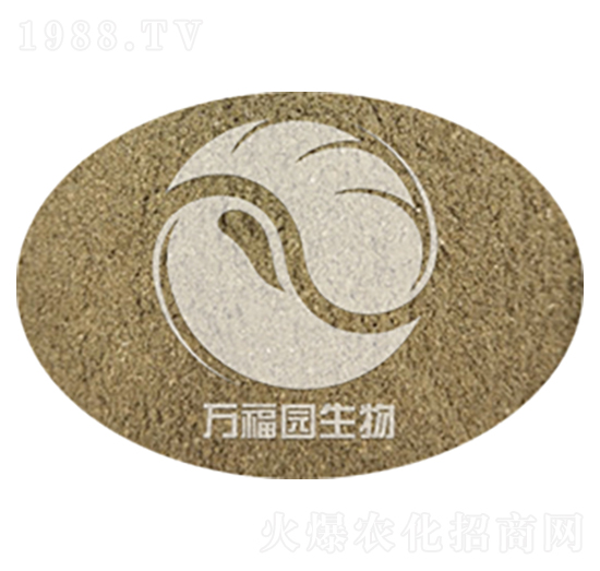 ��Ч���섩-�f���@����